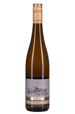 Pinot Gris, D.S.C. 2021