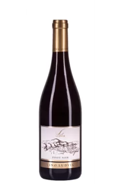PINOT NOIR 2018